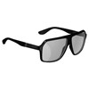 SUNGLASSES THEVIZ ANDES POLARIZED BLACK SILVER 17 VLT